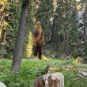 Meet your Posher, Craig